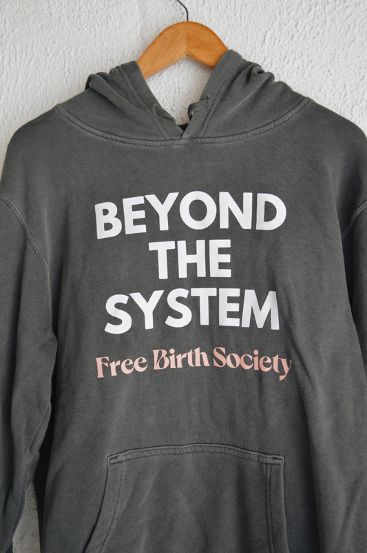 BEYOND THE SYSTEM | Hooded Sweatshirt